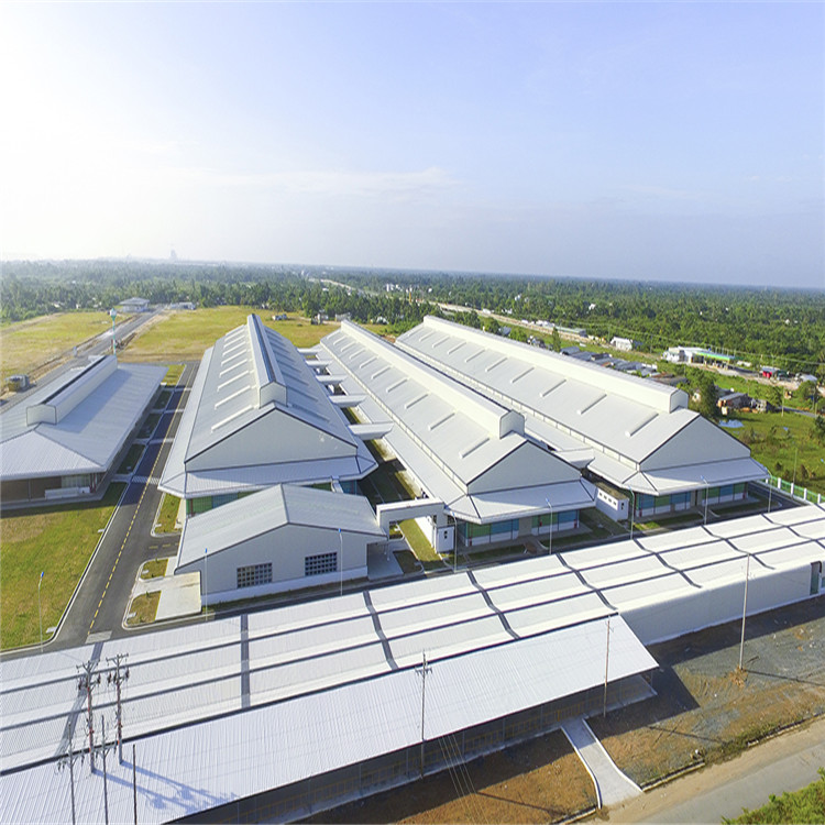 Specially Designed Steel Structure Warehouse for Large Factories And Temporary Houses